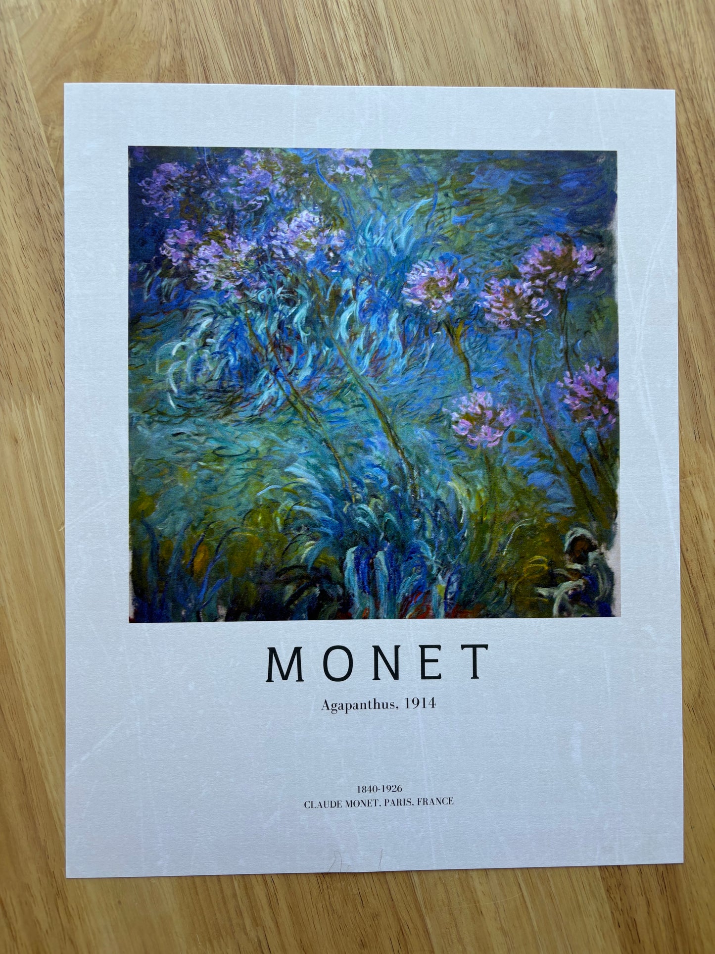 Monet Print 11x14