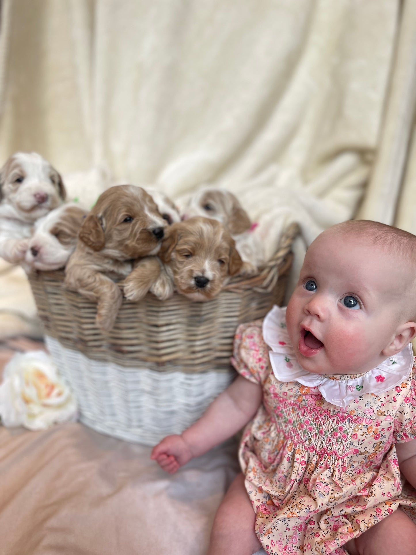 Floral Smocked Romper